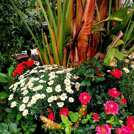 La Foresteria Garden Boutique Catania