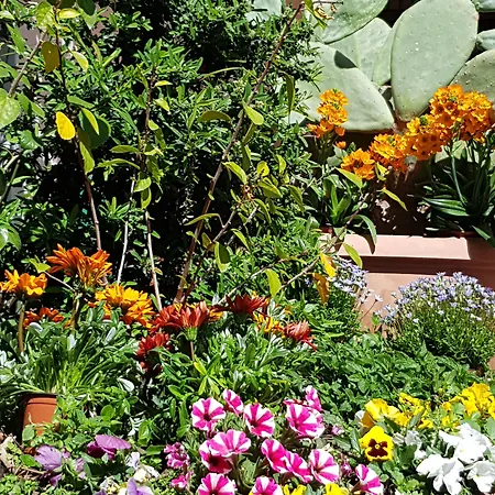 La Foresteria Garden Boutique