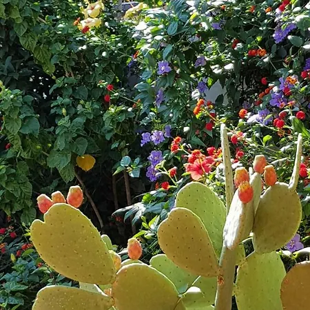 La Foresteria Garden Boutique 4*