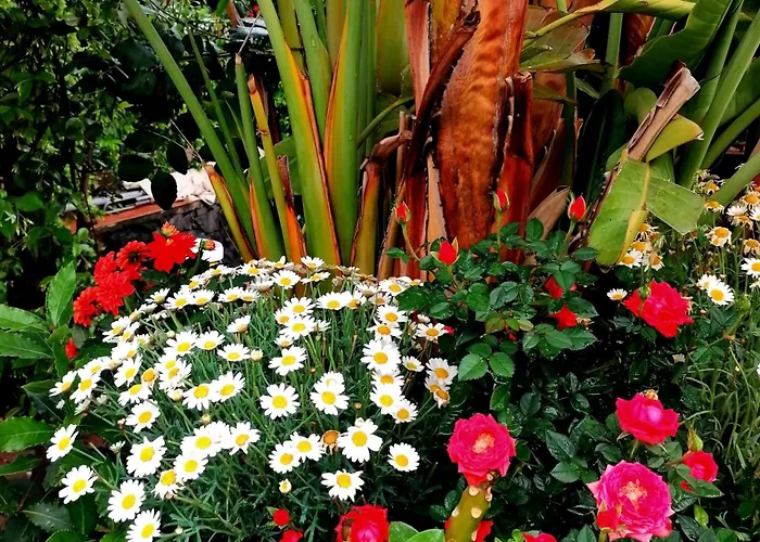 La Foresteria Garden Boutique Catánia