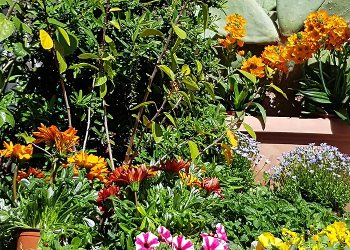 La Foresteria Garden Boutique