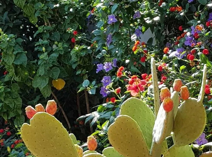 La Foresteria Garden Boutique 4*